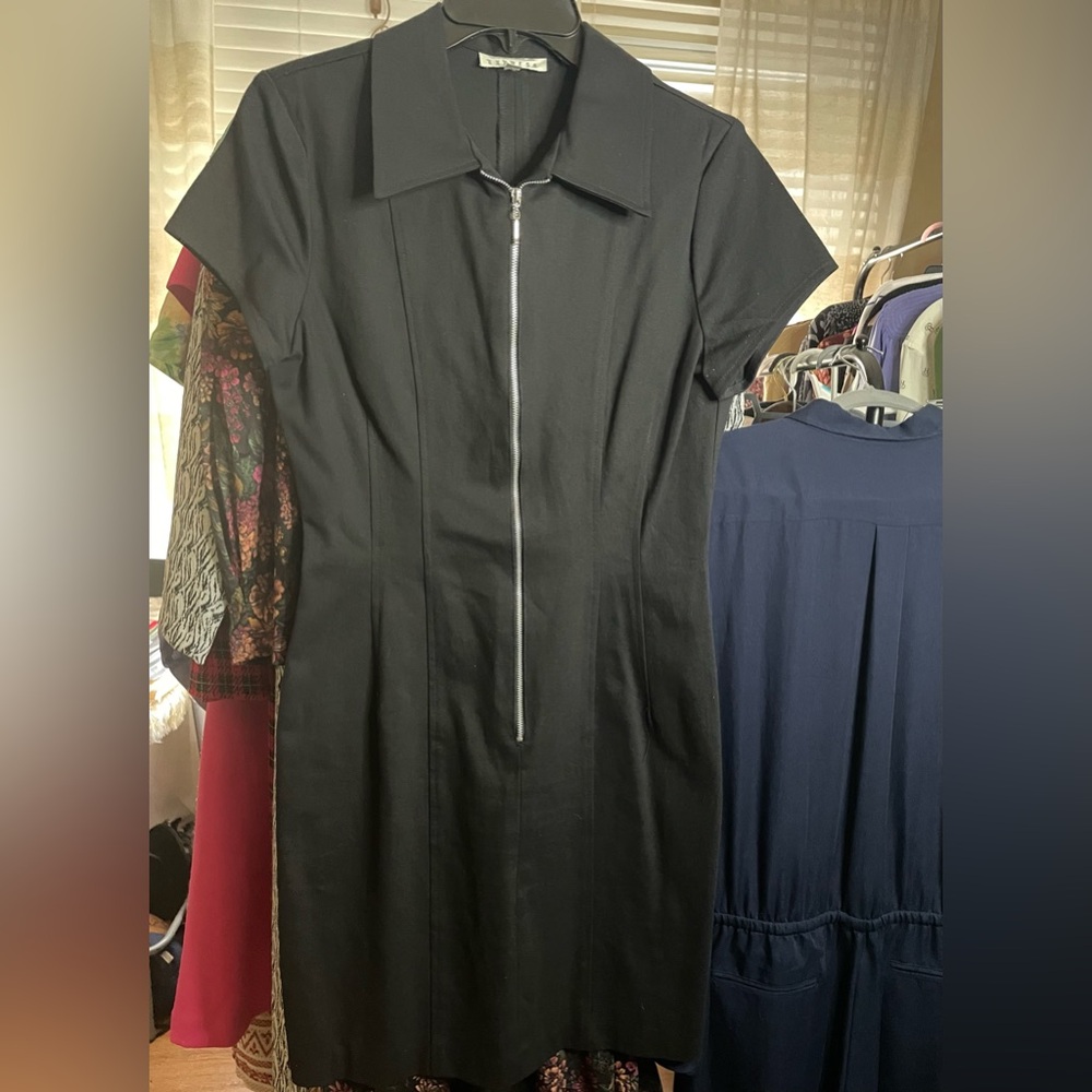 Express Black Zipper Dress